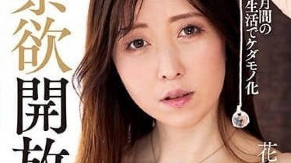 KSBJ-276 禁欲开放-花井百合